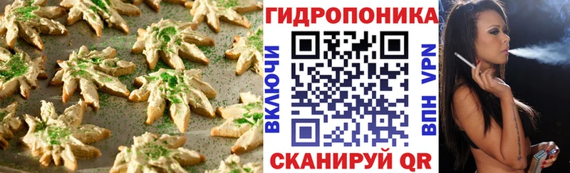 где найти наркотики  Павловская  Canna-Cookies конопля 