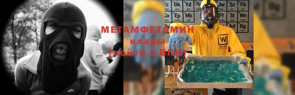 шишки Аркадак