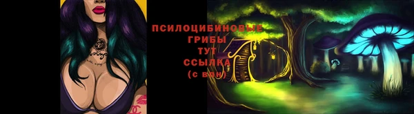 амф Алексин