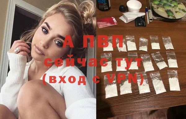 амф Алексин