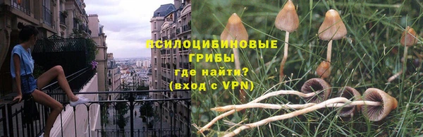 бошки Алзамай