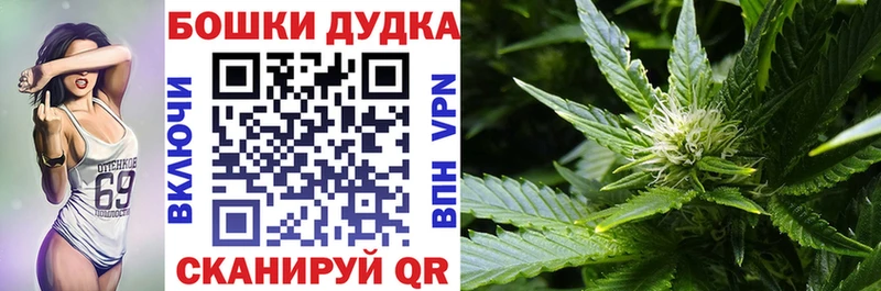 Конопля индика  Павловская 